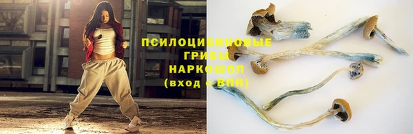 не бодяженный Алзамай