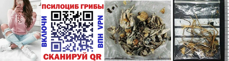 Псилоцибиновые грибы Psilocybe  Глазов 