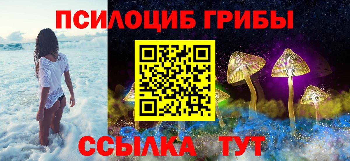 Глазов  Псилоцибиновые грибы прущие грибы  Вход с VPN 
